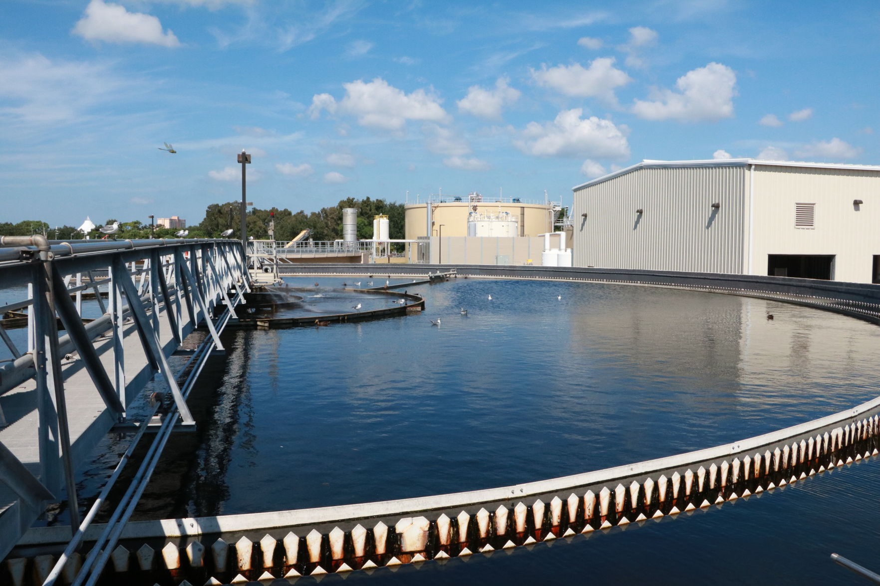 Waste Water Treatment Plant Settling Basin